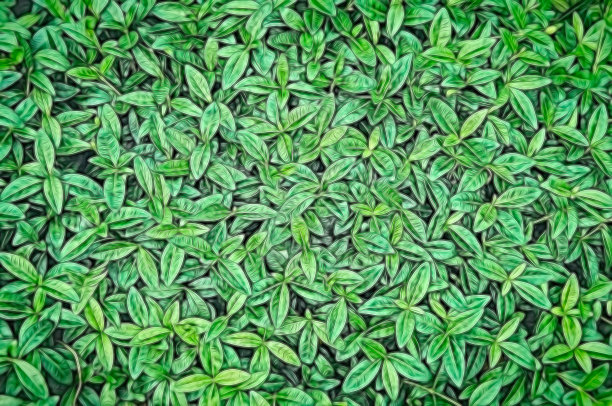 亮绿色叶子的图形背景图片下载