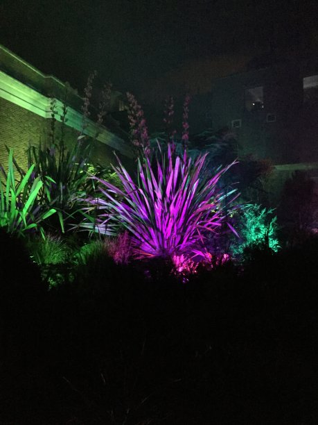 发光的亚麻图片下载