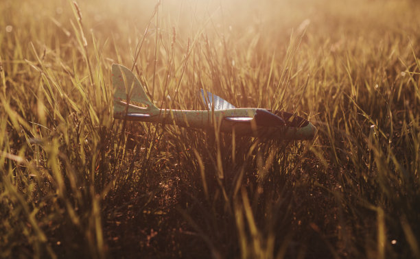 玩具飞机在草地上图片下载