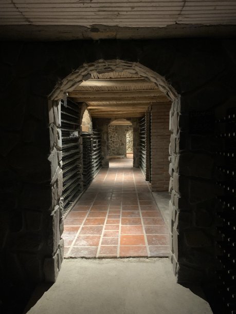 酒庄的酒窖图片下载