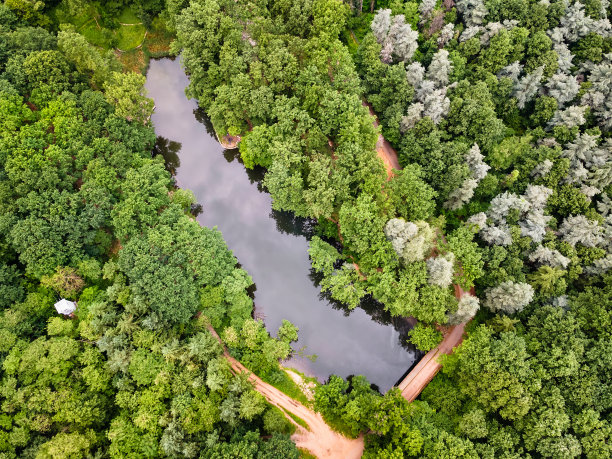鸟瞰图，湖泊周围的森林，人行道和桥梁。春天图片下载