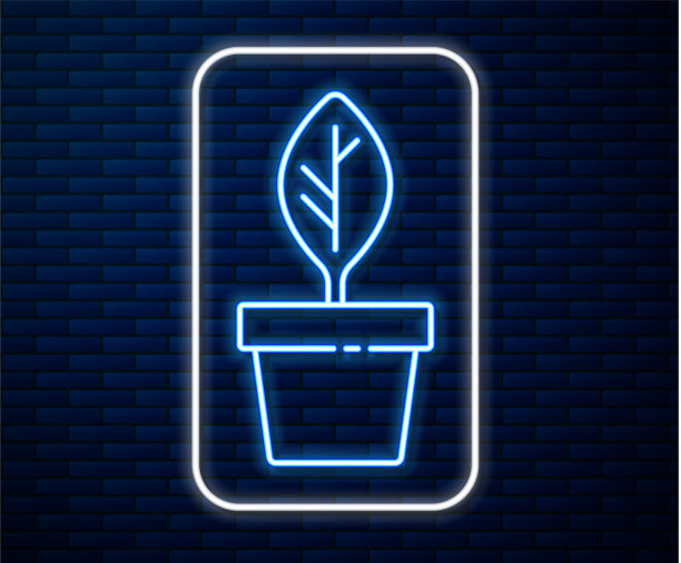 发光的霓虹灯线植物在花盆图标孤立上图片下载