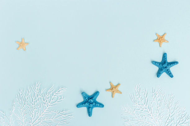 夏季背景海星和白色珊瑚在柔和的蓝色。旅行和度假的概念。图片下载