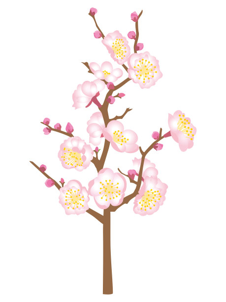 梅花图案。粉色的梅花。图片下载