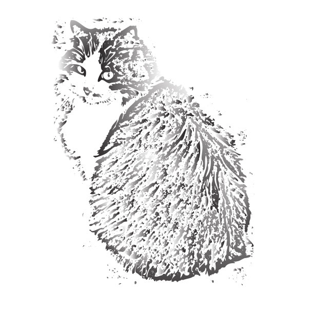 描绘一只家猫孤立地坐着图片下载