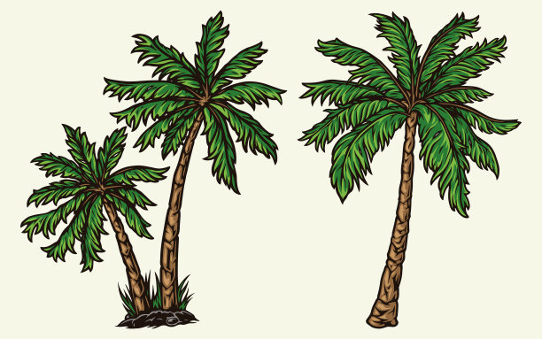 五颜六色的热带棕榈树概念图片下载