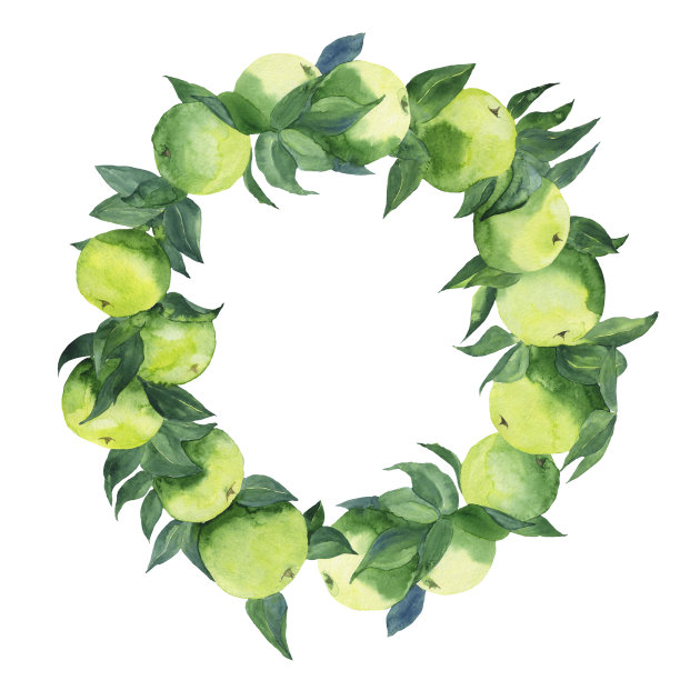 在白色背景上孤立的树枝上的青苹果花环。绿色果树的水彩手绘插图。夏天食物设计。完美的卡片，包装，封面，海报，横幅。副本的空间。图片下载