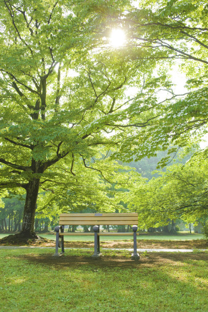 公园的长椅上图片下载