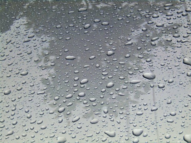 颠倒了。树反射在被雨滴覆盖的汽车表面。图片下载