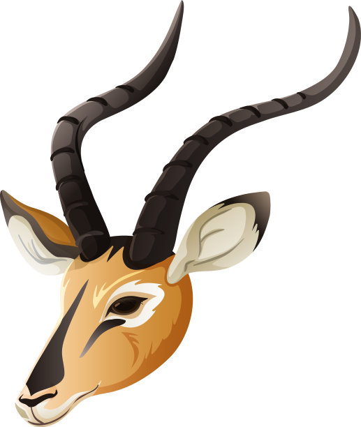 衣柜里有单独的衣服图片下载