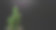 摄影棚内观赏植物微距摄影。图片下载