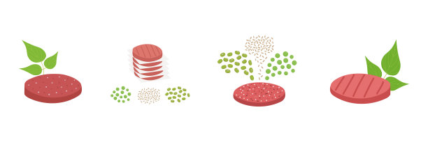 植物肉集。无肉汉堡肉饼与绿叶和配料如绿豆，糙米和豌豆。素食有机食品。矢量平面插图图片下载