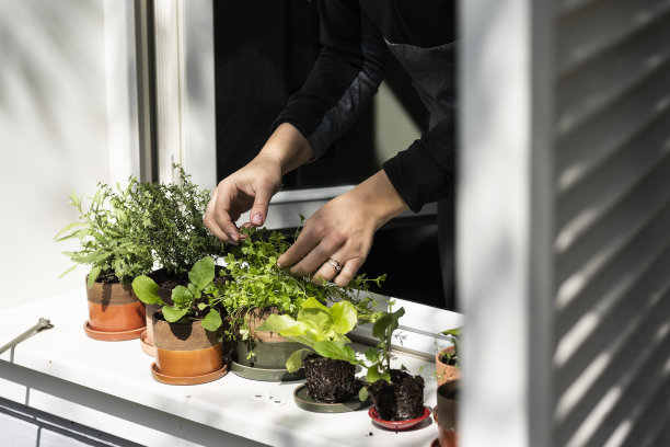 美美的图片下载