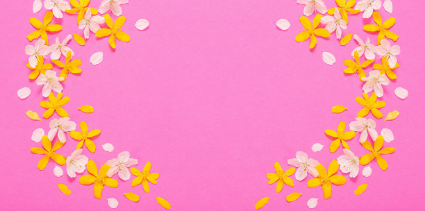 春天的白色和黄色的花在粉红色的纸背景图片下载