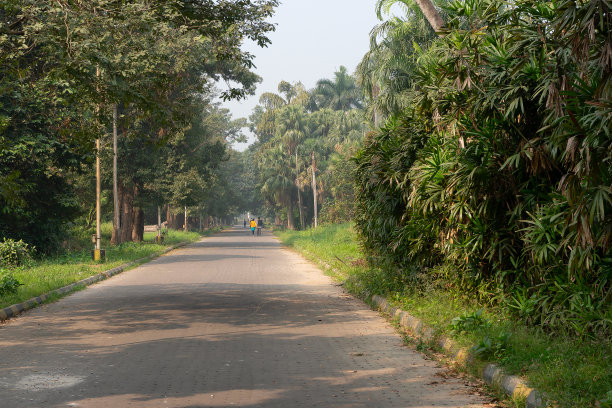 在印度豪拉的花园巷，情侣们走过。图片下载