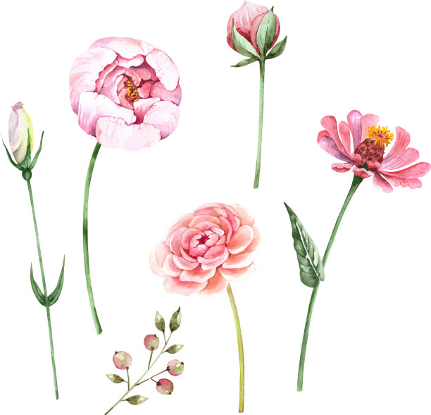 设置装饰性的粉红色花朵图片下载