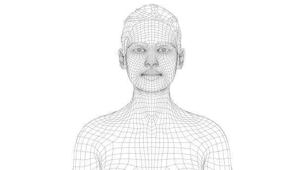 线框肖像一个年轻美丽的女孩图片下载