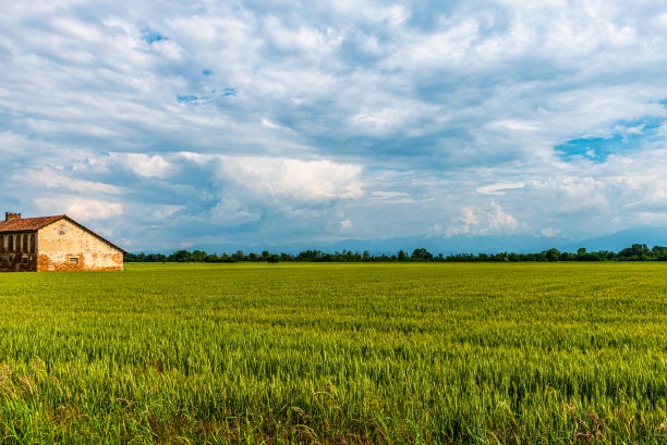 皮埃蒙特乡村的春天图片下载