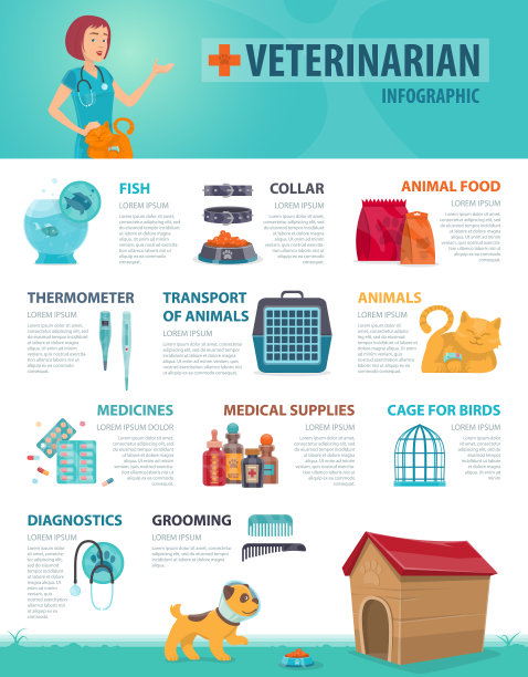 丰富多彩的兽医信息图表概念图片下载
