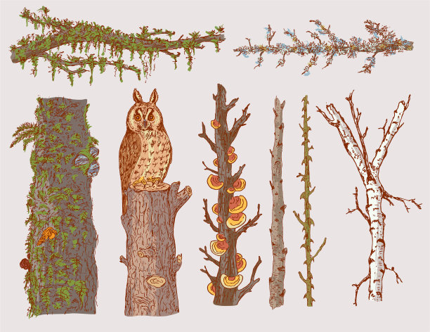 手绘森林树木集图片下载