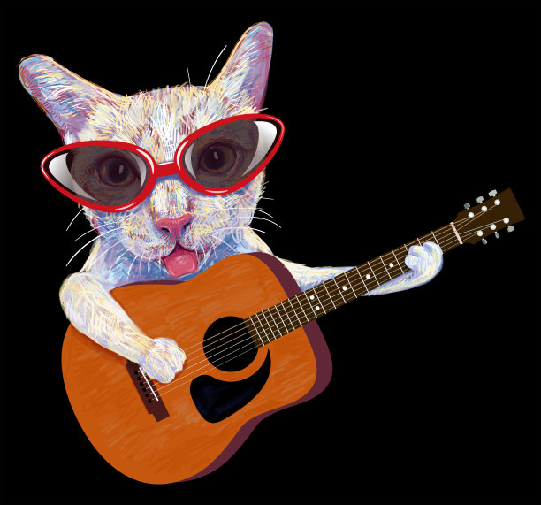 滑稽的猫戴着眼镜弹木吉他。图片下载