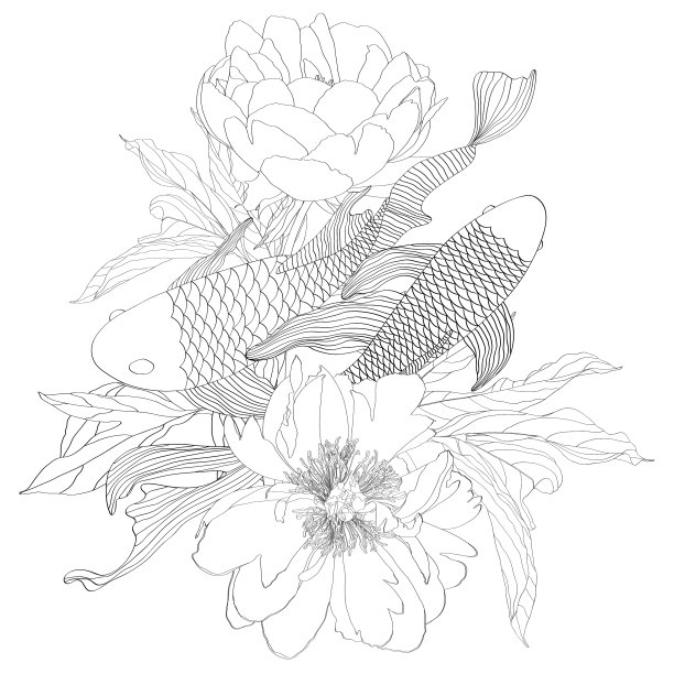 手绘亚洲符号-线艺术锦鲤图片下载