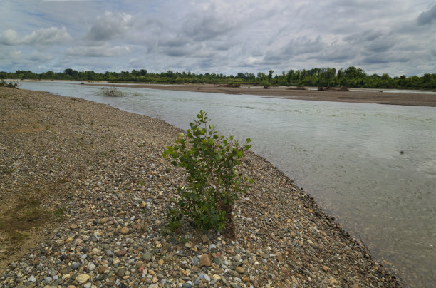 塞尔维亚和波斯尼亚和黑塞哥维那之间的德里纳河和沙砾沙洲图片下载