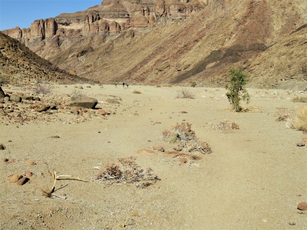 在纳米比亚的鱼河峡谷徒步旅行。图片下载