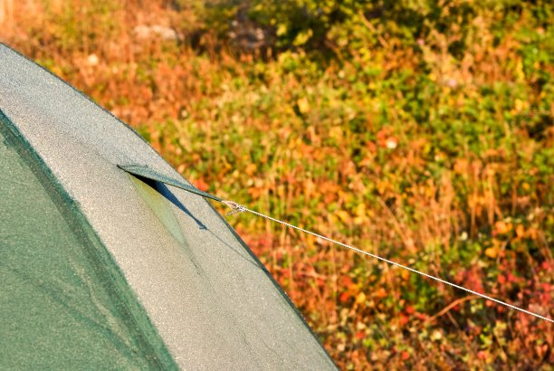 绿色旅游帐篷图片下载