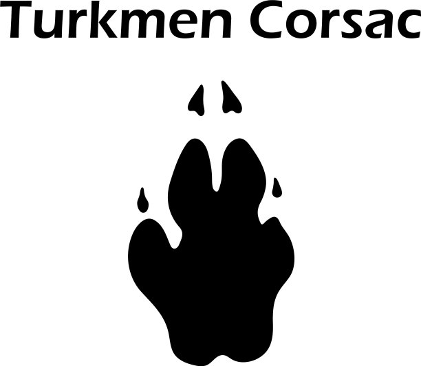 土库曼沙足迹图片下载