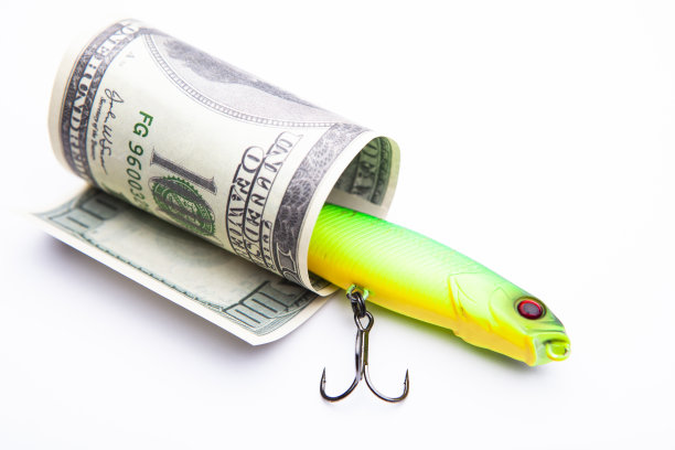 鱼饵钱的图像背景白色图片下载