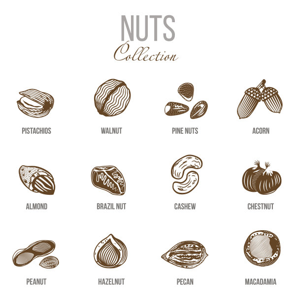 有机食品套装示意图图片下载