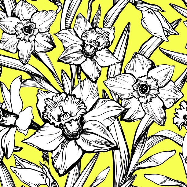 植物春、夏无缝格局与花、茎、叶水仙花。图片下载