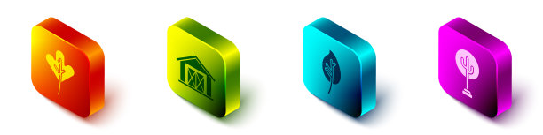 设置等距叶或农家叶或图片下载