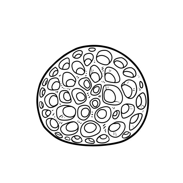 精美的圆形海绵着色书线性图片下载