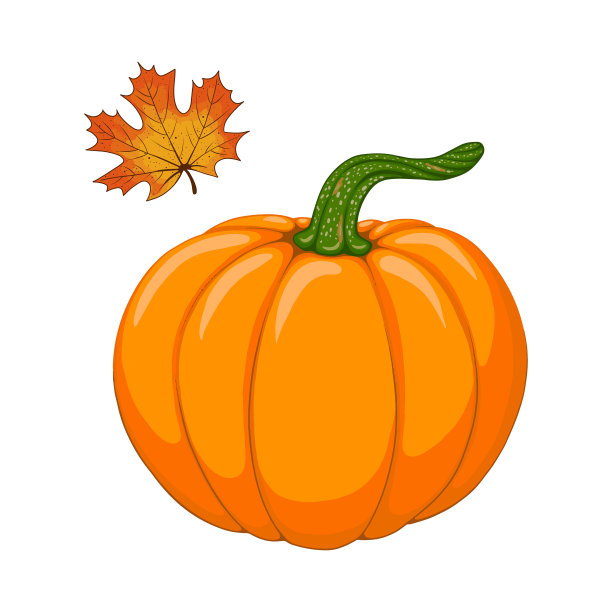 水彩卡通橙色南瓜和秋季枫叶矢量集。秋天，丰收，感恩节的象征。手绘设计元素孤立图片下载