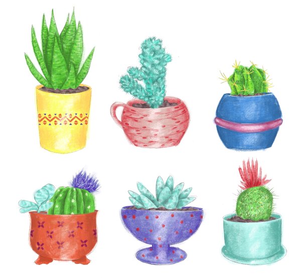 一套盆栽植物插图图片下载