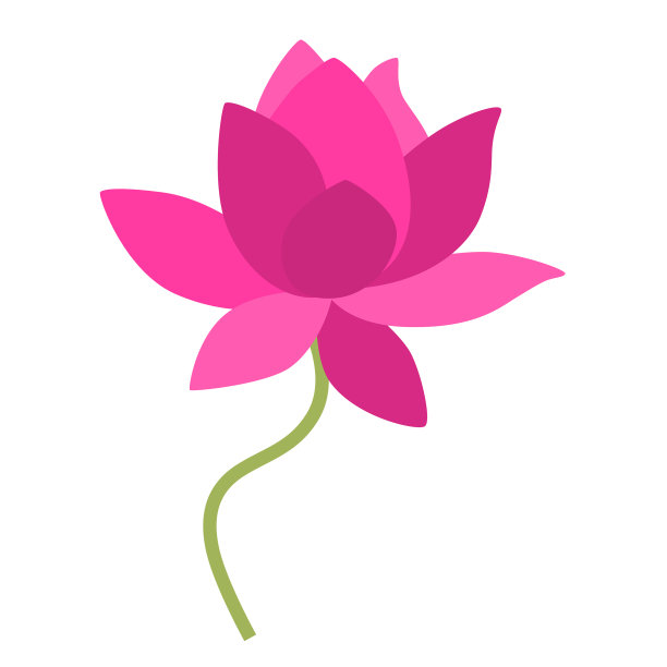 美丽的粉红色睡莲平面设计海报图片下载