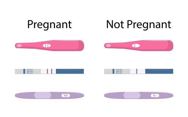一套不同的验孕棒，一根和两根条纹是阳性，阴性。女性生殖观念孤立在白色背景上。矢量插图。图片下载