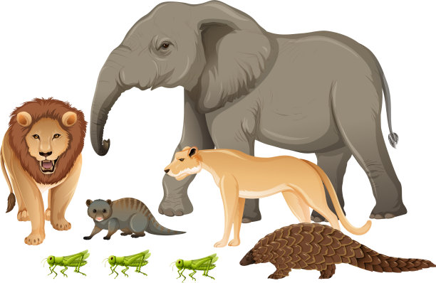 群野生非洲动物在白色的背景图片下载