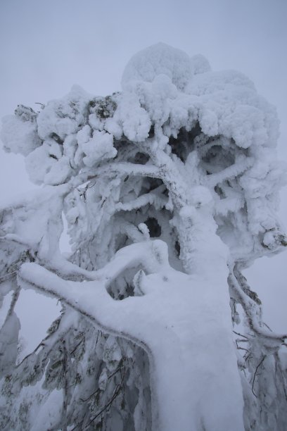 冬天的印象图片下载
