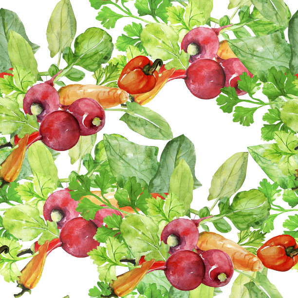 无缝模式的蔬菜沙拉图片下载