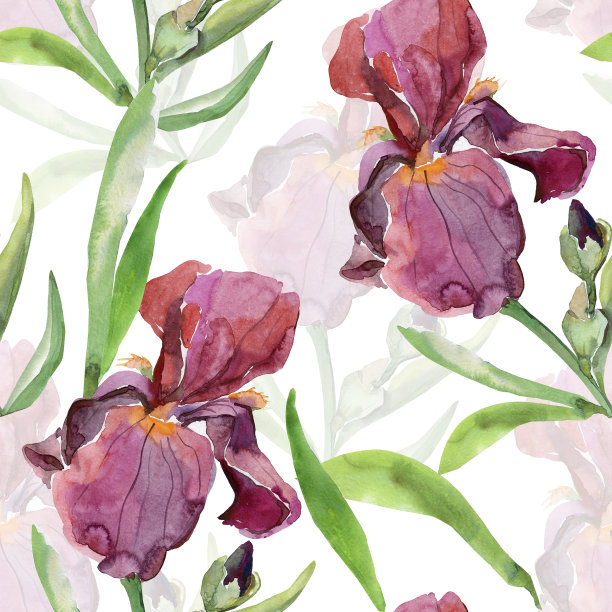 虹膜无缝模式。图片下载