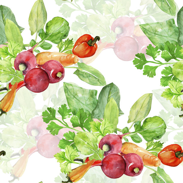 无缝模式的蔬菜沙拉图片下载