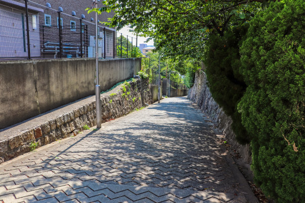 蓝坂，大阪市天野寺的缓坡图片下载