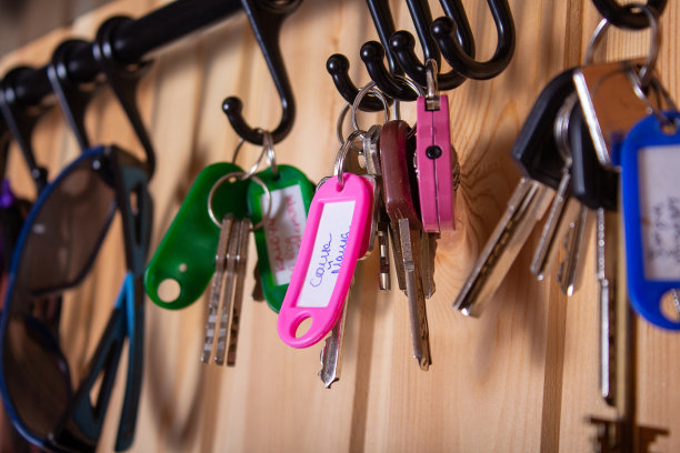 带有拷贝空间的粉色钥匙链。关闭了。图片下载