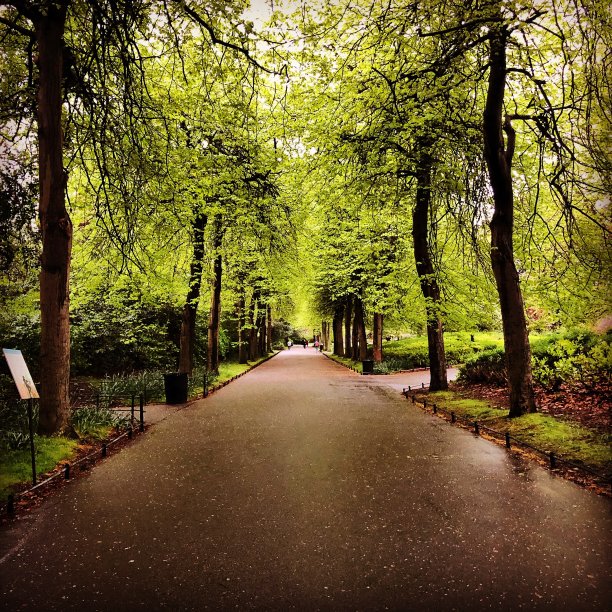 自然的墙图片下载