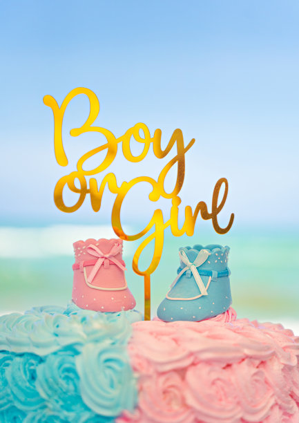 蛋糕-性别揭示派对在海滩上图片下载