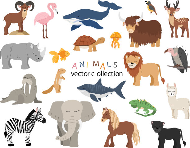 可爱的动物组图片下载