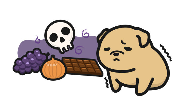 对狗有危险的食物图片下载